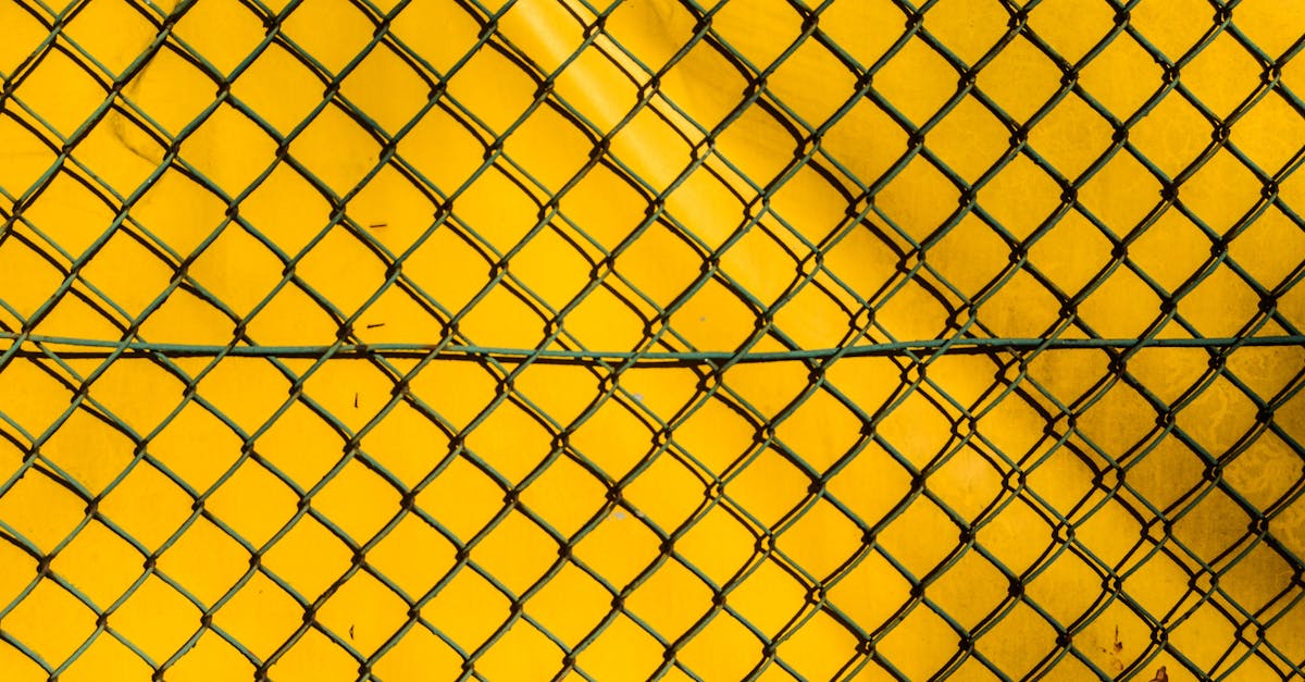 支付宝小号买卖：韩国酱料 购买平台