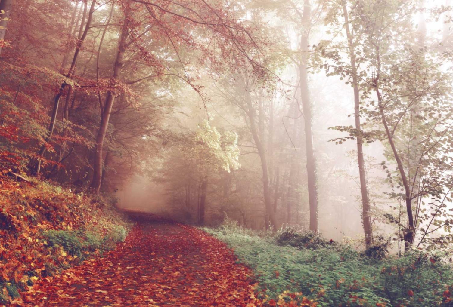 如何防止短信钓鱼安全防护 