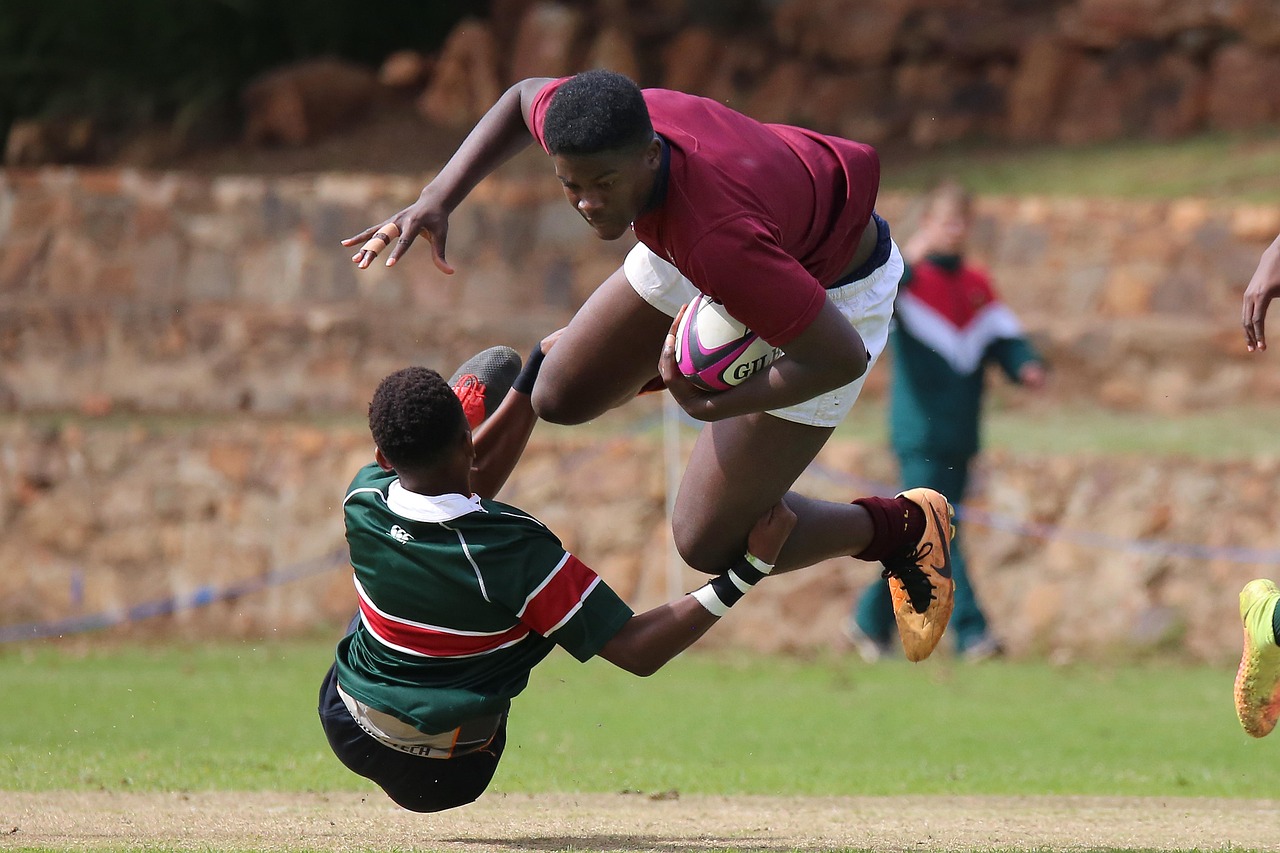 欧盟硬白金万:小草钱包app详情下载教程