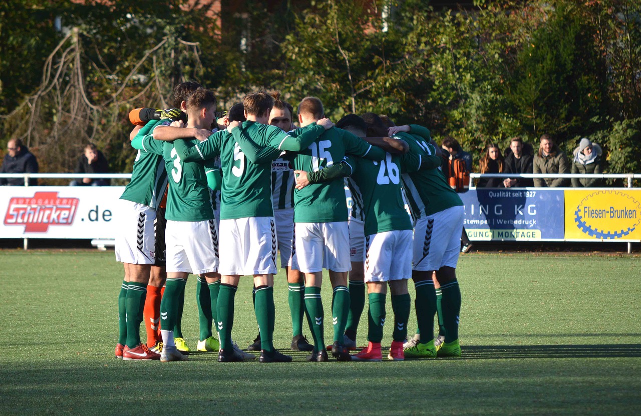 DDOS网页端平台|国内内资公司注册代理