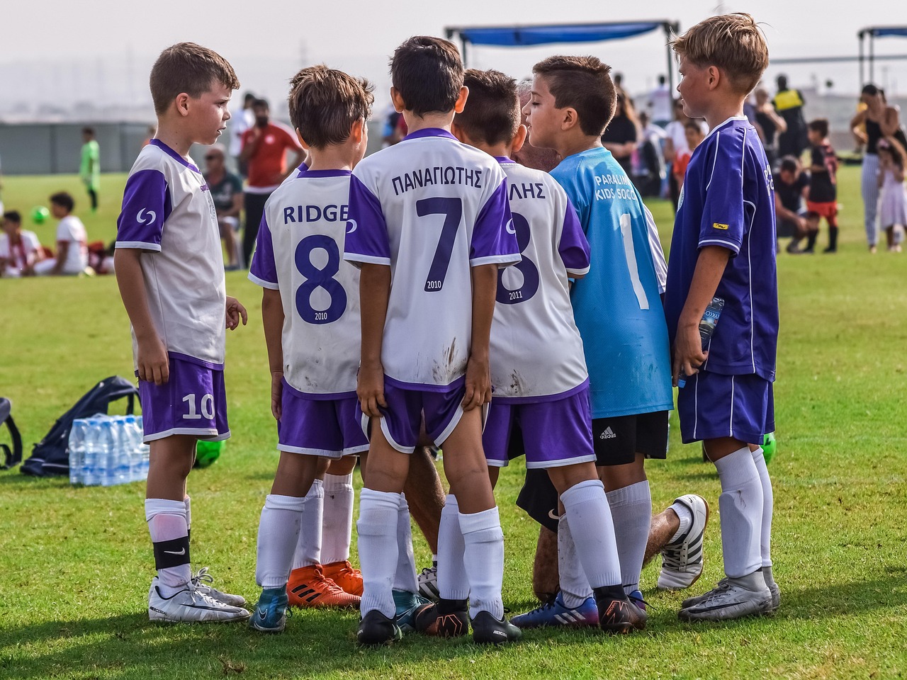霸王大陆（自由转职）：平台上的车代理给卖掉