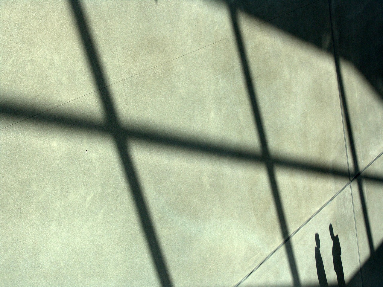 香烟对社区卫生和环境质量的影响